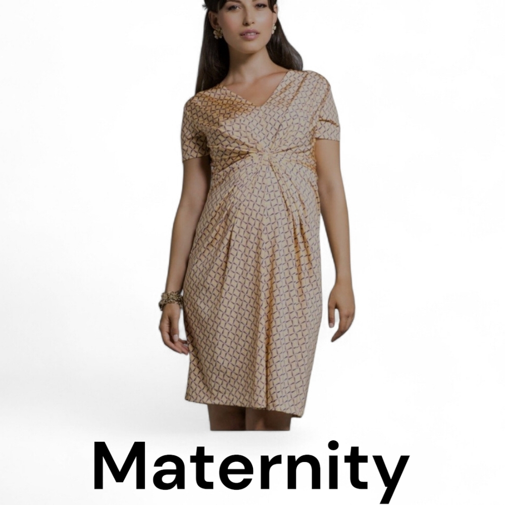 LEOTA Martini Waist Pleat, Birds & the Bees Maternity Dress Short Sleeve, V-neck